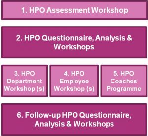 Practical Application HPO Framework: The HPO Diagnosis - HPO Center